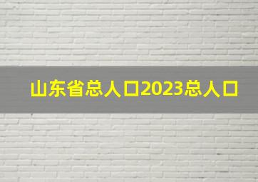 山东省总人口2023总人口