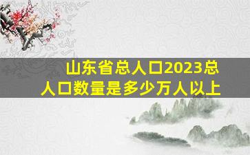 山东省总人口2023总人口数量是多少万人以上