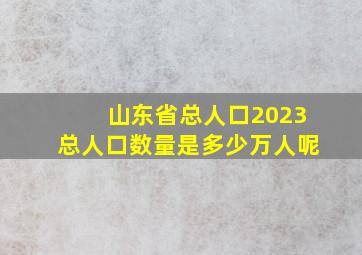 山东省总人口2023总人口数量是多少万人呢