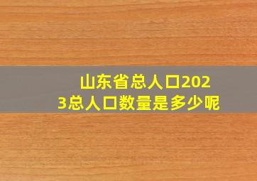 山东省总人口2023总人口数量是多少呢