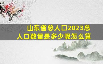 山东省总人口2023总人口数量是多少呢怎么算