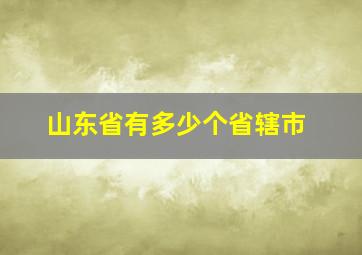 山东省有多少个省辖市