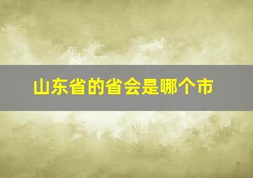 山东省的省会是哪个市