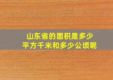 山东省的面积是多少平方千米和多少公顷呢