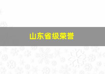 山东省级荣誉