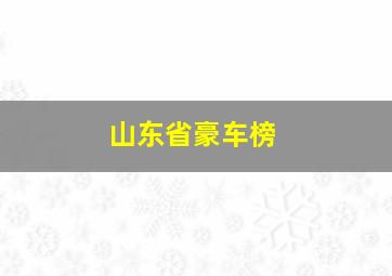 山东省豪车榜