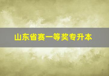 山东省赛一等奖专升本