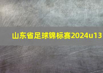 山东省足球锦标赛2024u13