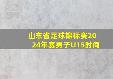 山东省足球锦标赛2024年赛男子U15时间