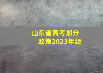 山东省高考加分政策2023年级