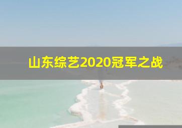 山东综艺2020冠军之战