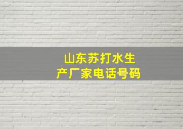 山东苏打水生产厂家电话号码