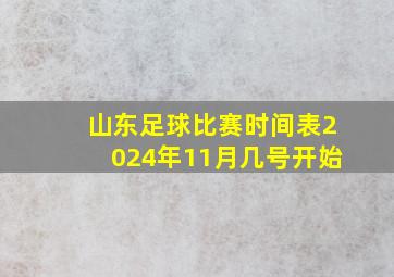 山东足球比赛时间表2024年11月几号开始