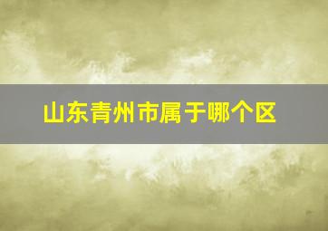 山东青州市属于哪个区