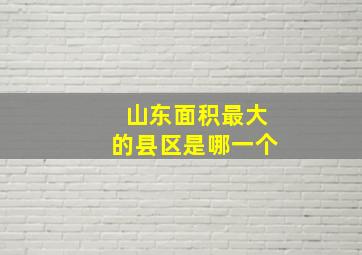 山东面积最大的县区是哪一个