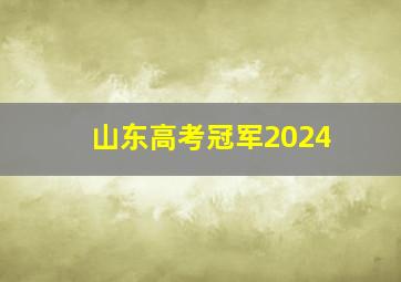 山东高考冠军2024