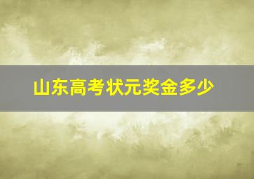 山东高考状元奖金多少