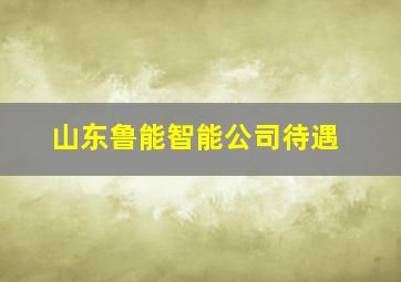 山东鲁能智能公司待遇