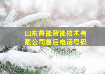 山东鲁能智能技术有限公司售后电话号码