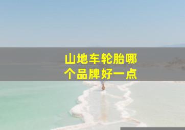 山地车轮胎哪个品牌好一点