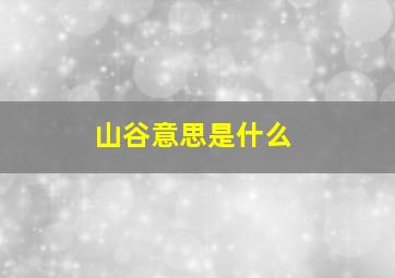 山谷意思是什么