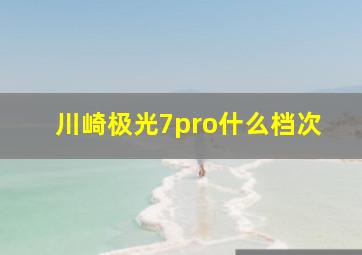 川崎极光7pro什么档次