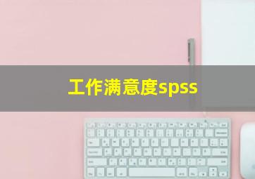 工作满意度spss