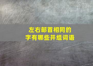 左右部首相同的字有哪些并组词语