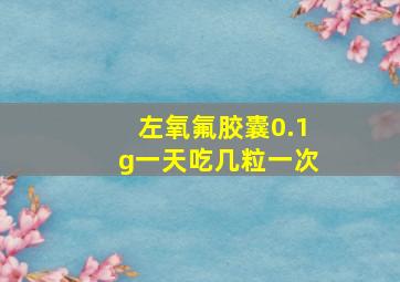 左氧氟胶囊0.1g一天吃几粒一次