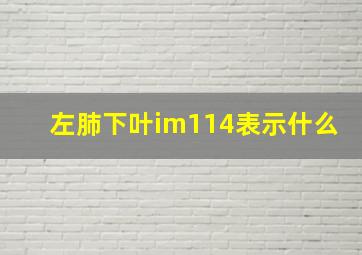 左肺下叶im114表示什么