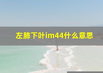 左肺下叶im44什么意思