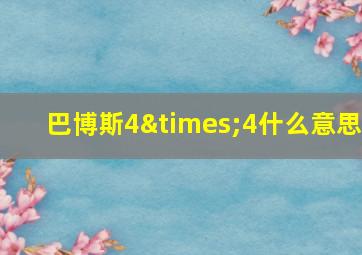 巴博斯4×4什么意思