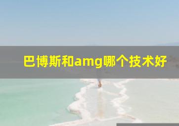 巴博斯和amg哪个技术好