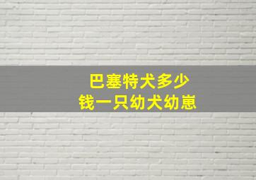 巴塞特犬多少钱一只幼犬幼崽