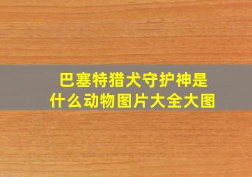 巴塞特猎犬守护神是什么动物图片大全大图