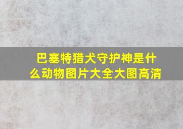 巴塞特猎犬守护神是什么动物图片大全大图高清