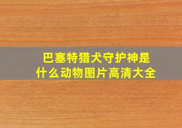 巴塞特猎犬守护神是什么动物图片高清大全