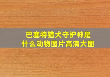 巴塞特猎犬守护神是什么动物图片高清大图