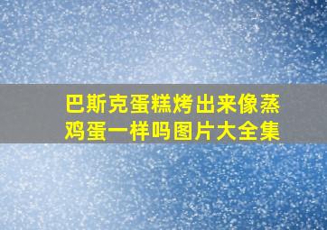 巴斯克蛋糕烤出来像蒸鸡蛋一样吗图片大全集