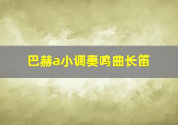 巴赫a小调奏鸣曲长笛