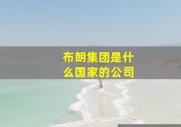 布朗集团是什么国家的公司