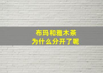 布玛和雅木茶为什么分开了呢