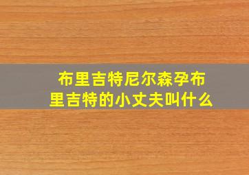 布里吉特尼尔森孕布里吉特的小丈夫叫什么