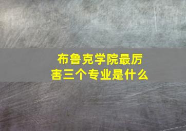 布鲁克学院最厉害三个专业是什么