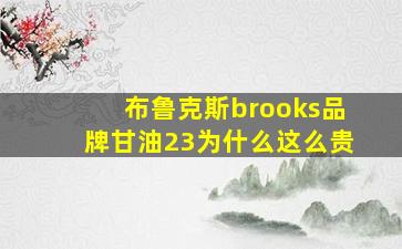 布鲁克斯brooks品牌甘油23为什么这么贵