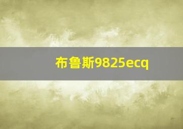 布鲁斯9825ecq