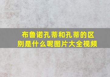 布鲁诺孔蒂和孔蒂的区别是什么呢图片大全视频