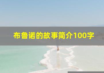 布鲁诺的故事简介100字