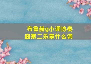 布鲁赫g小调协奏曲第二乐章什么调