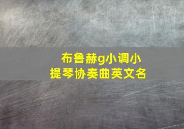 布鲁赫g小调小提琴协奏曲英文名